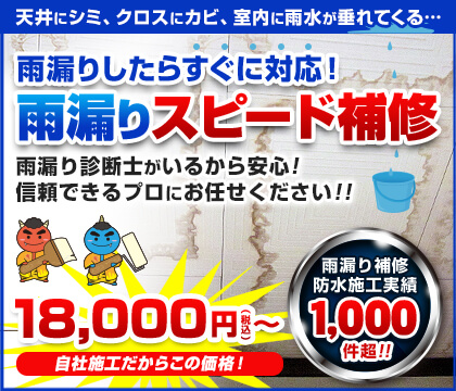 雨漏りスピード診断