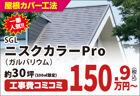 SGL ニスクカラーPro (ガルバリウム)