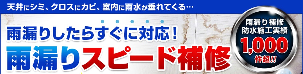 雨漏りスピード補修