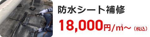 防水シート補修 18,000円/㎡～（税込）